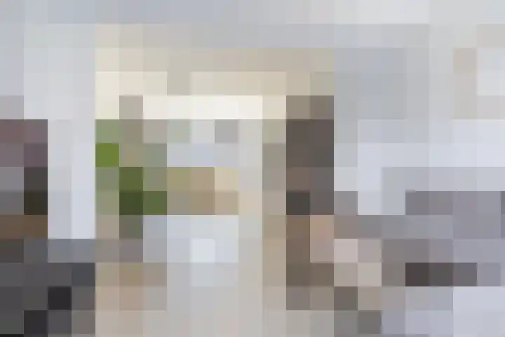 Cypressenstraat 5 Dorst thumbnail 11