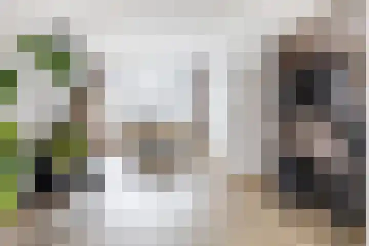 Cypressenstraat 5 Dorst thumbnail 13