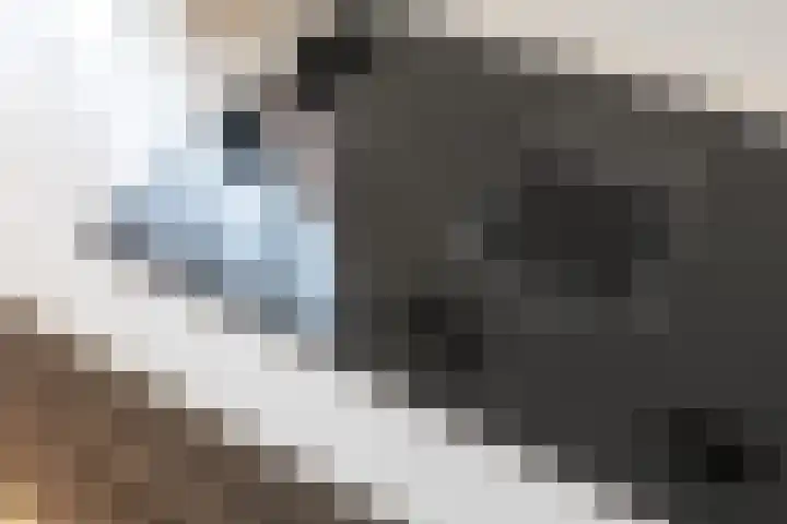 Cypressenstraat 5 Dorst thumbnail 16