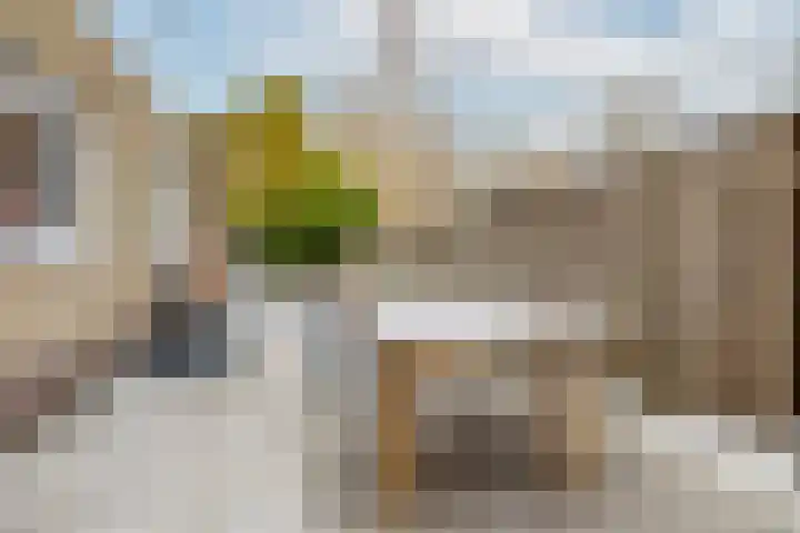 Cypressenstraat 5 Dorst thumbnail 34