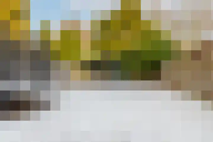 Cypressenstraat 5 Dorst thumbnail 35