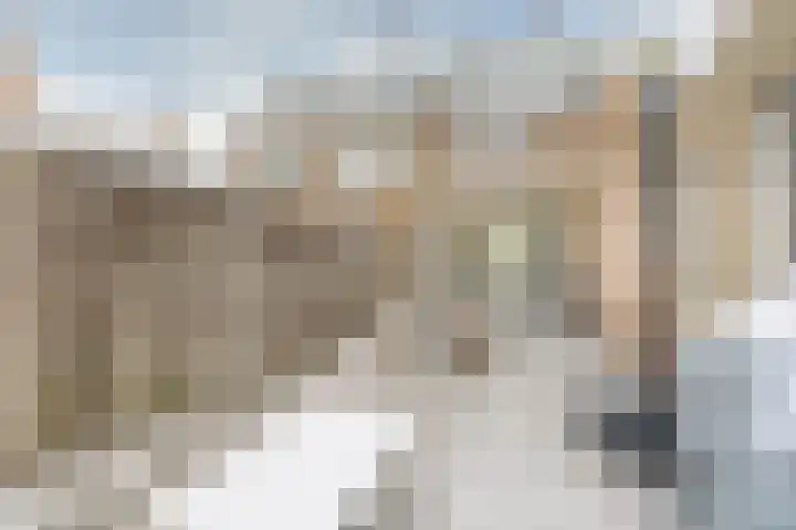 Cypressenstraat 5 Dorst thumbnail 36