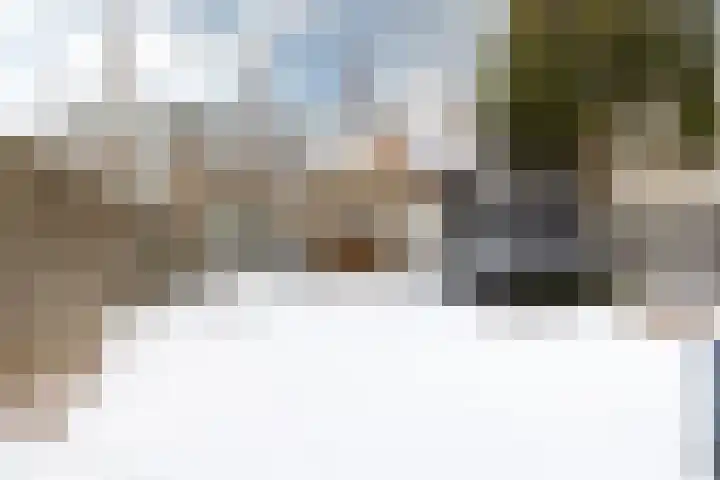 Cypressenstraat 5 Dorst thumbnail 38