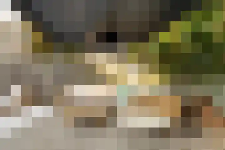 Cypressenstraat 5 Dorst thumbnail 39