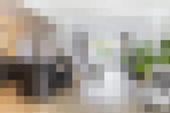 Cypressenstraat 5 Dorst thumbnail 4