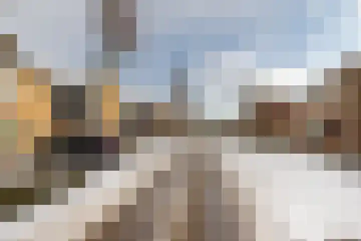 Cypressenstraat 5 Dorst thumbnail 40
