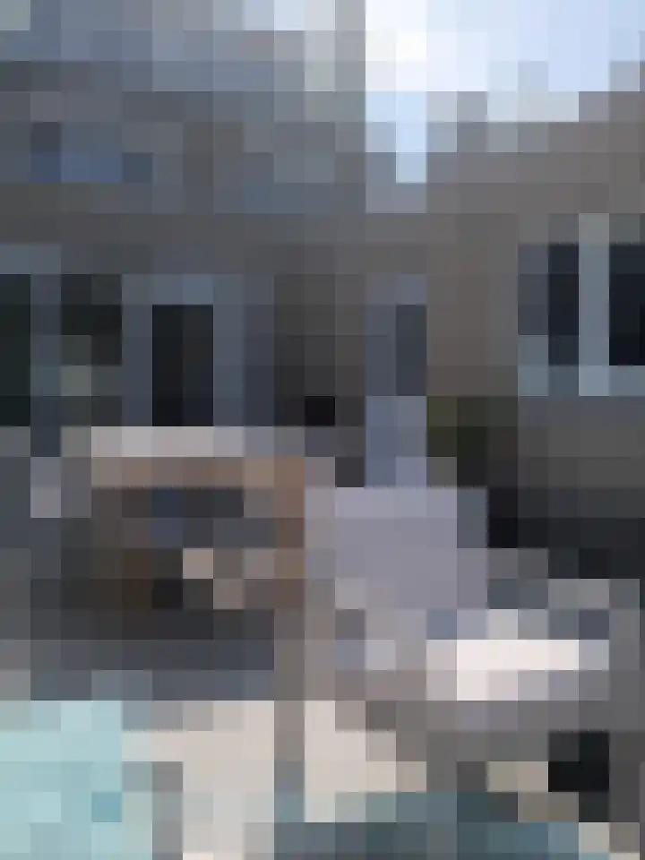 Cypressenstraat 5 Dorst thumbnail 41