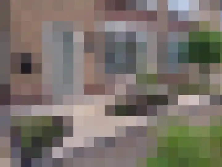 Cypressenstraat 5 Dorst thumbnail 42