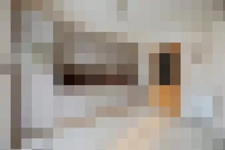 Cypresstraat 16 Echt thumbnail 13