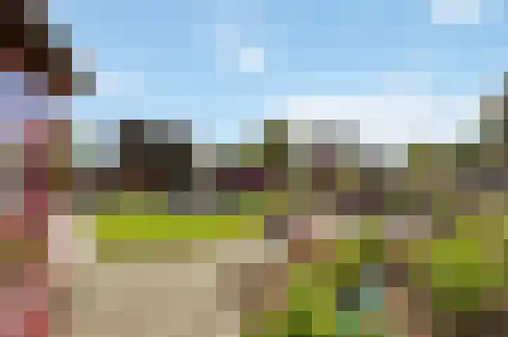 Cypresstraat 16 Echt thumbnail 36