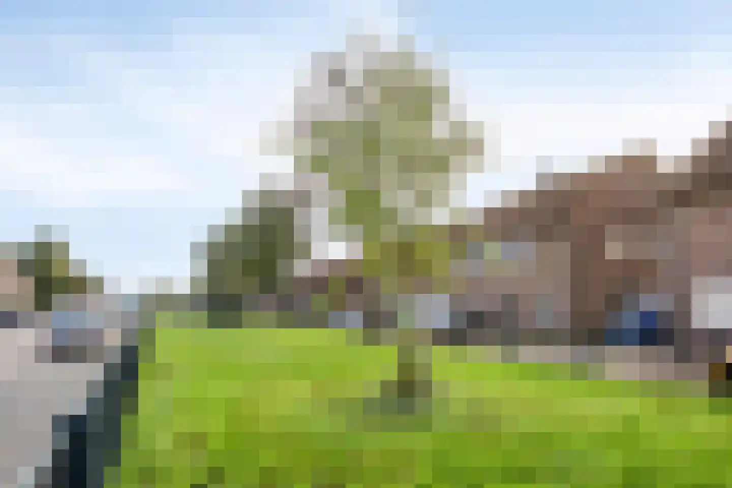 Cypresstraat 165 's-Hertogenbosch thumbnail 31