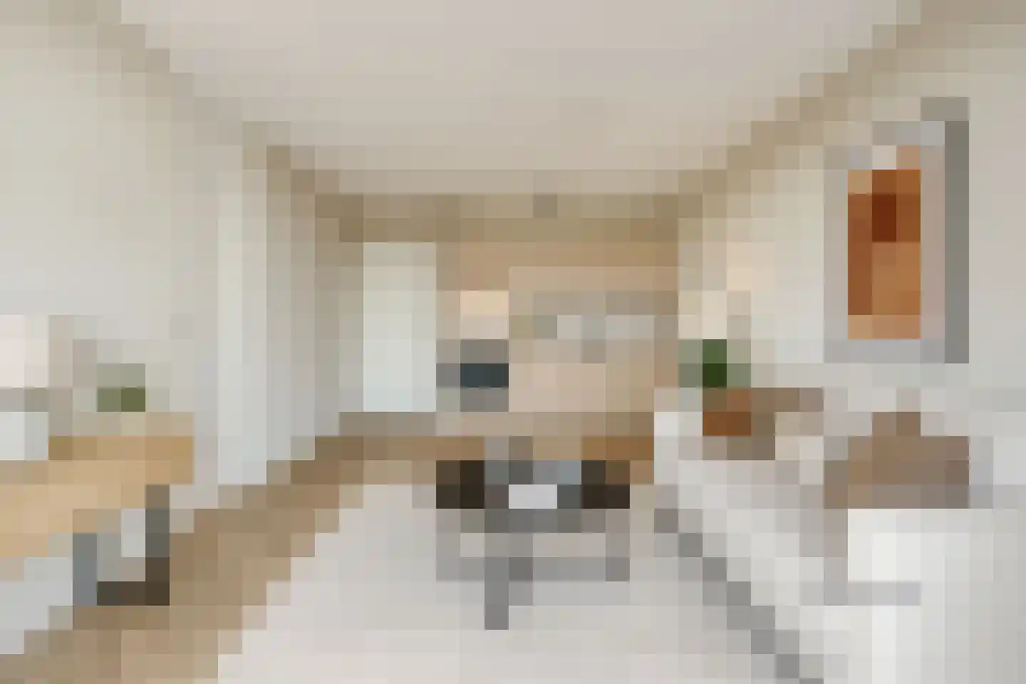 Cypresstraat 31 's-Hertogenbosch thumbnail 13