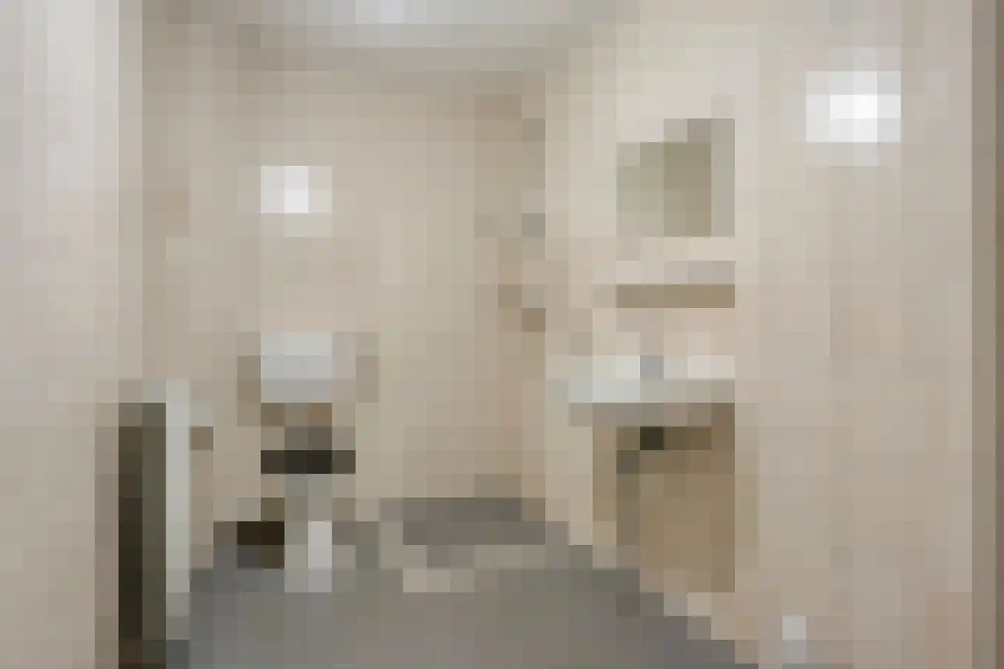Cypresstraat 31 's-Hertogenbosch thumbnail 6