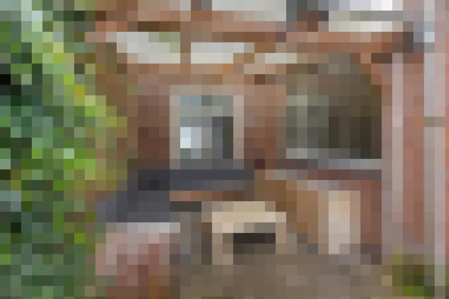 Cypresstraat 36 's-Hertogenbosch thumbnail 34
