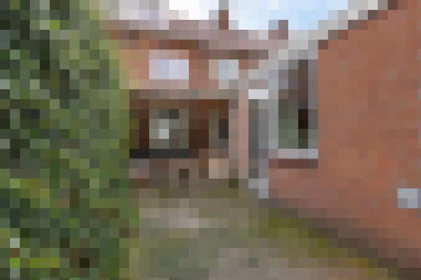 Cypresstraat 36 's-Hertogenbosch thumbnail 35