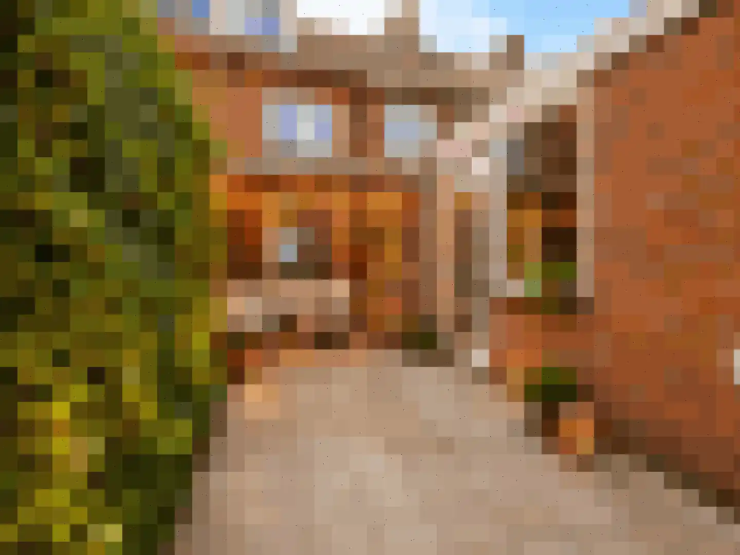 Cypresstraat 36 's-Hertogenbosch thumbnail 5