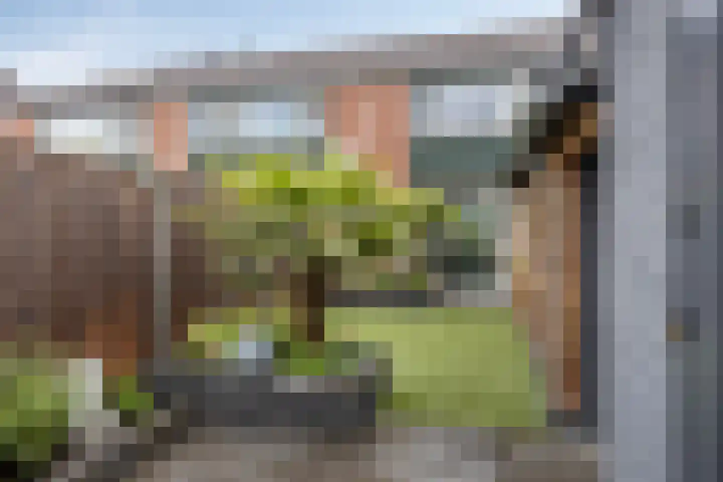 Cypresstraat 42 Winterswijk thumbnail 32