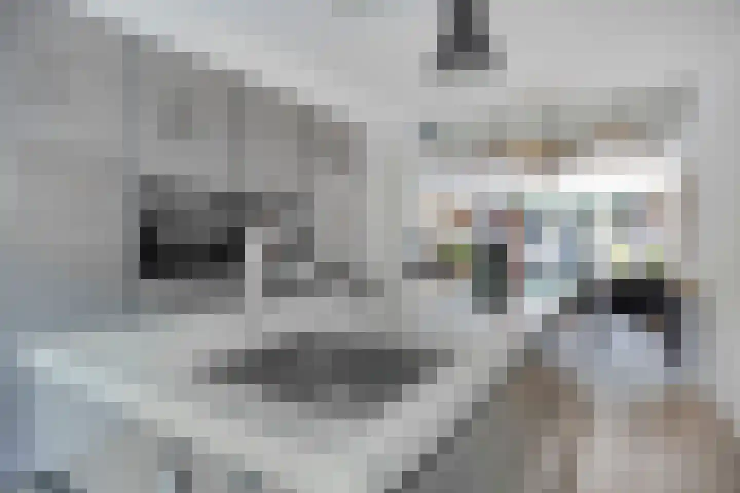 Cypresstraat 45 Tilburg thumbnail 18
