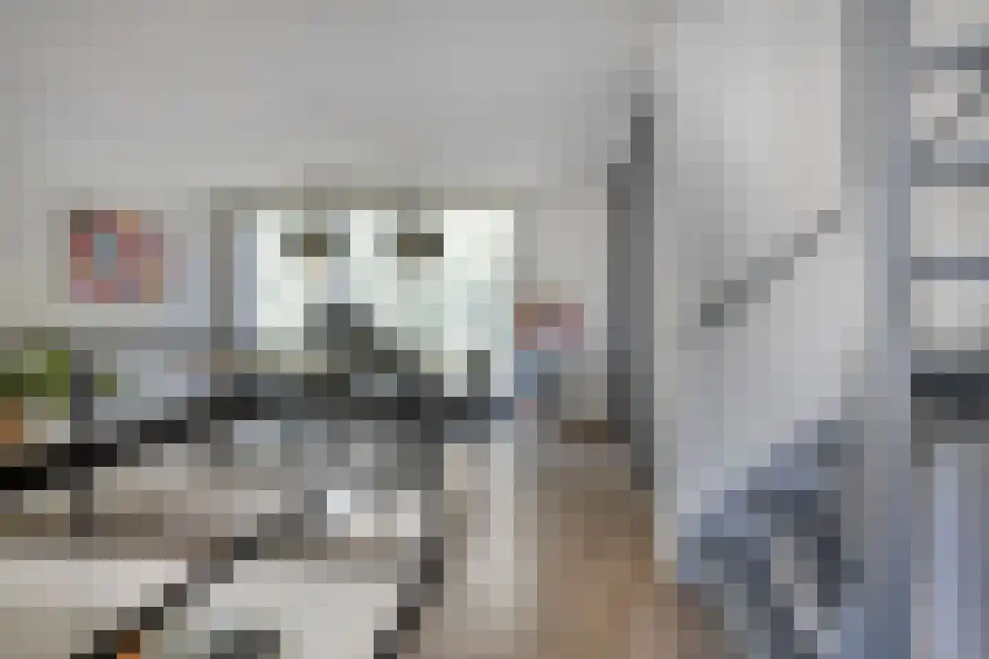 Cypresstraat 45 Tilburg thumbnail 20