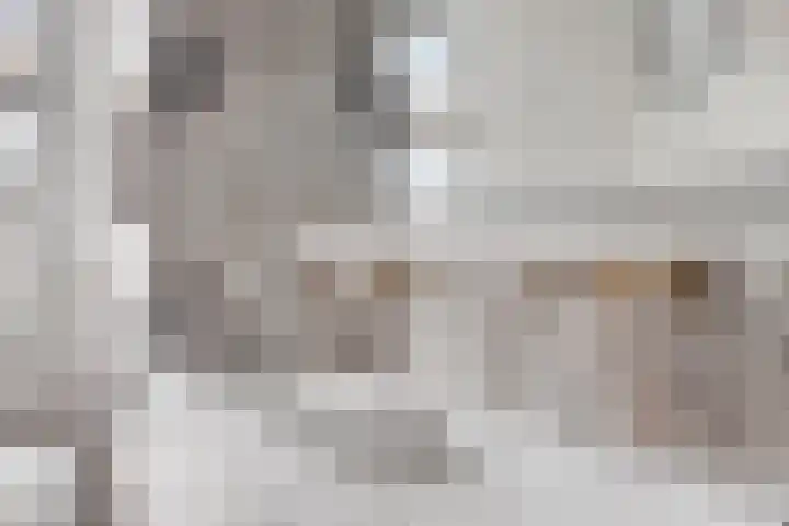 Cyprus 14 Zoetermeer thumbnail 19