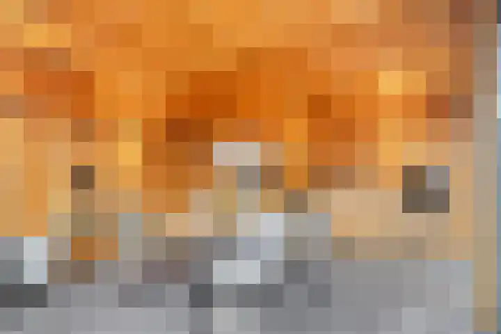 Cyprus 14 Zoetermeer thumbnail 30