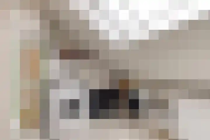 Cypruslaan 116 Rotterdam thumbnail 26