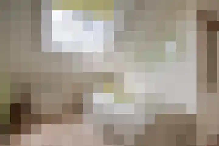 Cypruslaan 116 Rotterdam thumbnail 31