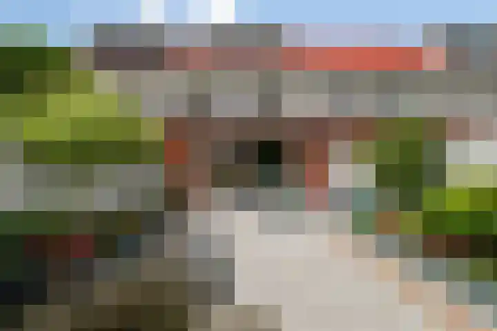 Cypruslaan 116 Rotterdam thumbnail 36