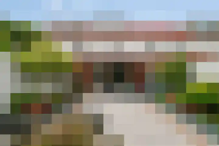 Cypruslaan 116 Rotterdam thumbnail 4