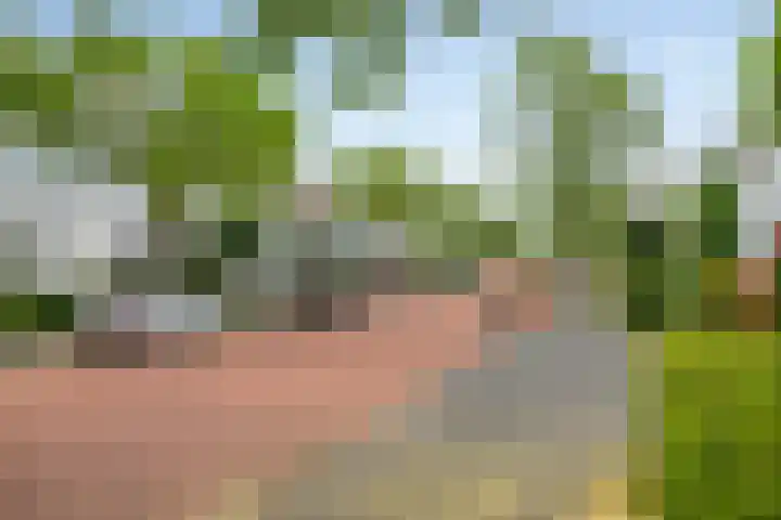 Cypruslaan 116 Rotterdam thumbnail 40