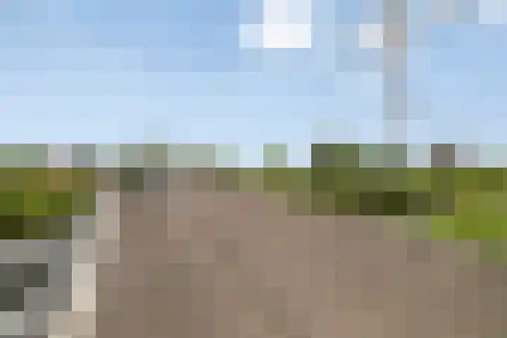 Cypruslaan 116 Rotterdam thumbnail 44