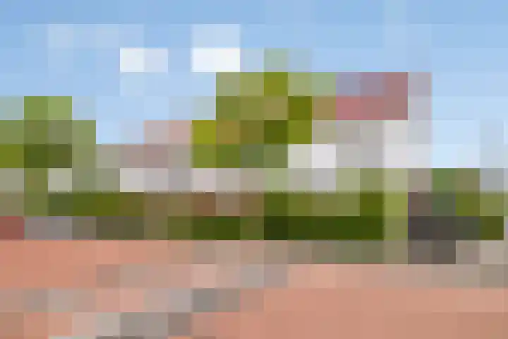 Cypruslaan 116 Rotterdam thumbnail 5