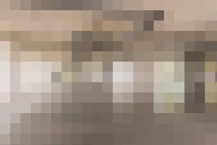 Cypruslaan 12 Rotterdam thumbnail 22