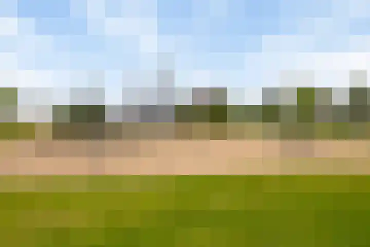 Cypruslaan 12 Rotterdam thumbnail 25