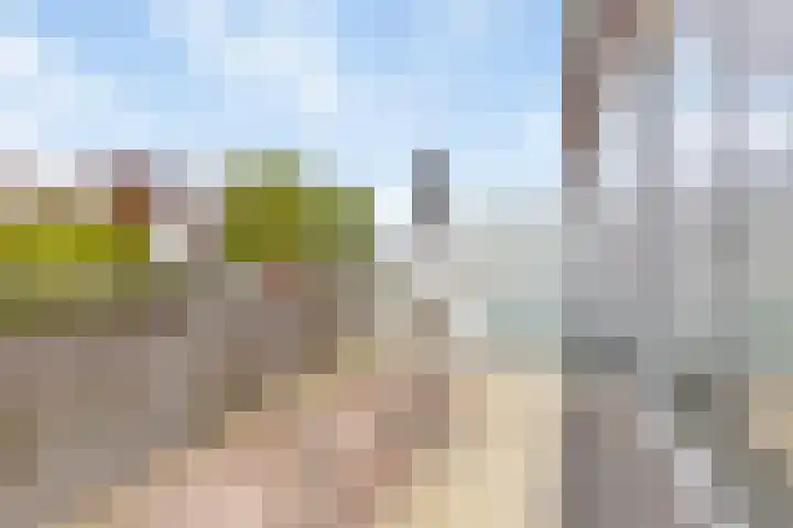 Cypruslaan 12 Rotterdam thumbnail 4