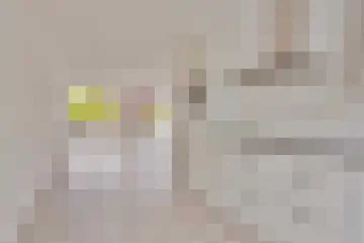 Cypruslaan 12 Rotterdam thumbnail 6