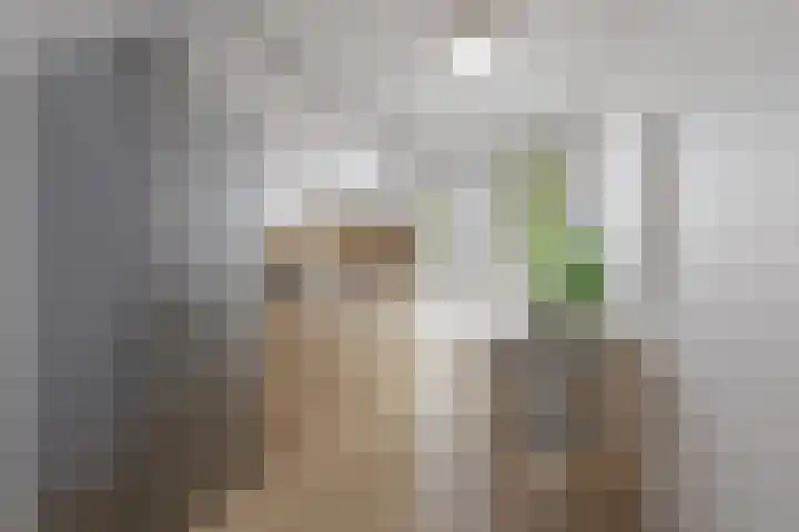 Cypruslaan 12 Rotterdam thumbnail 8