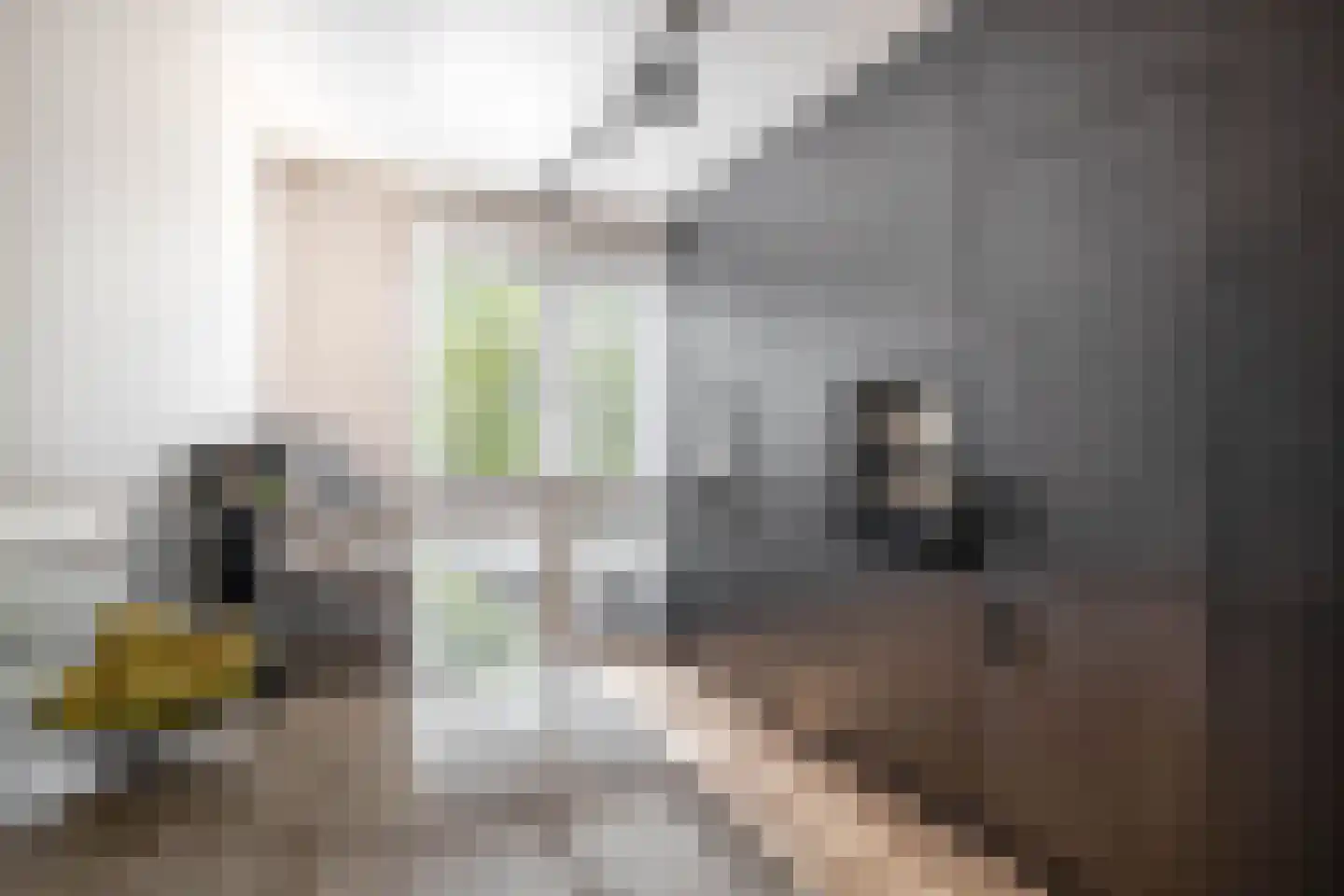 Cypruslaan 14 Rotterdam thumbnail 12