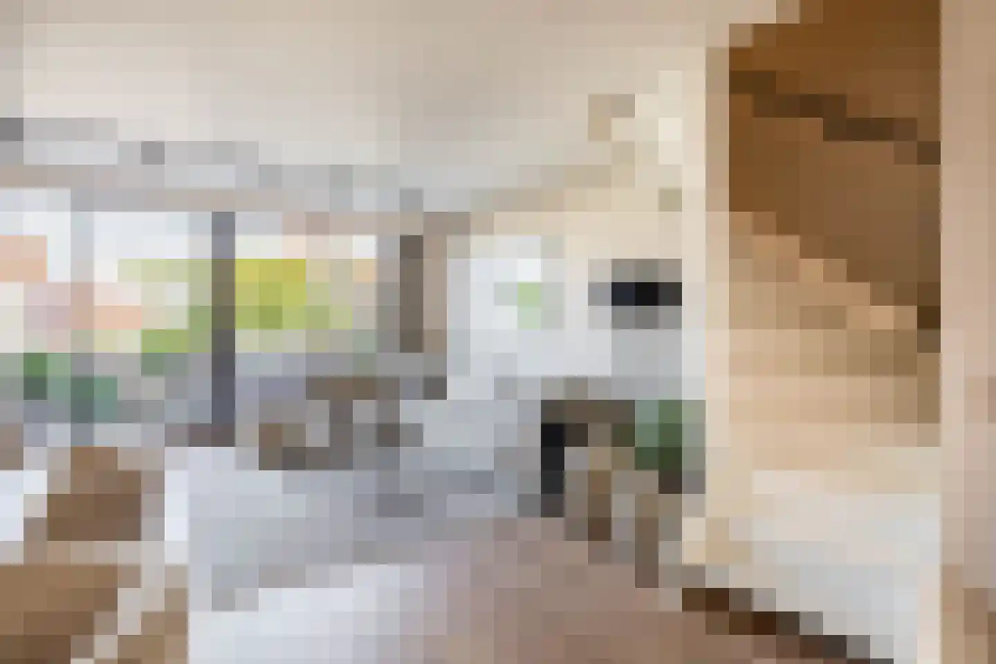 Cypruslaan 14 Rotterdam thumbnail 17