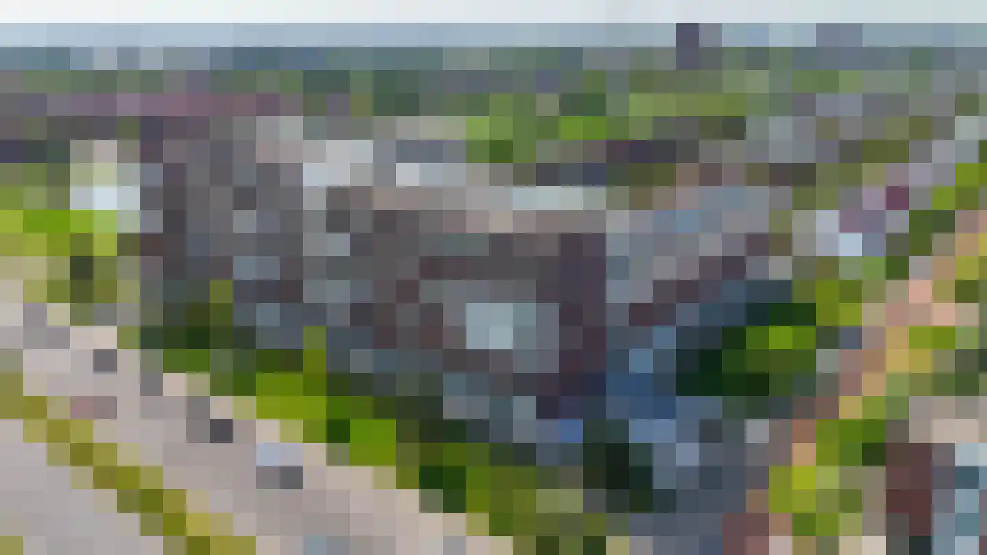 Cypruslaan 14 Rotterdam thumbnail 46