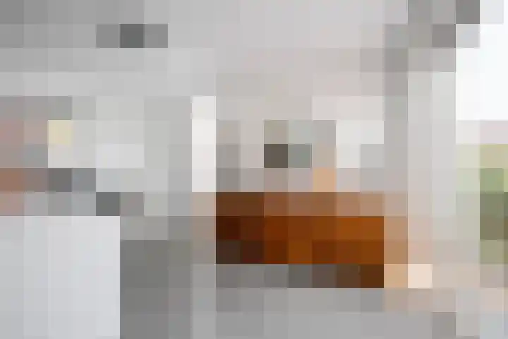 Cypruslaan 142 Rotterdam thumbnail 15