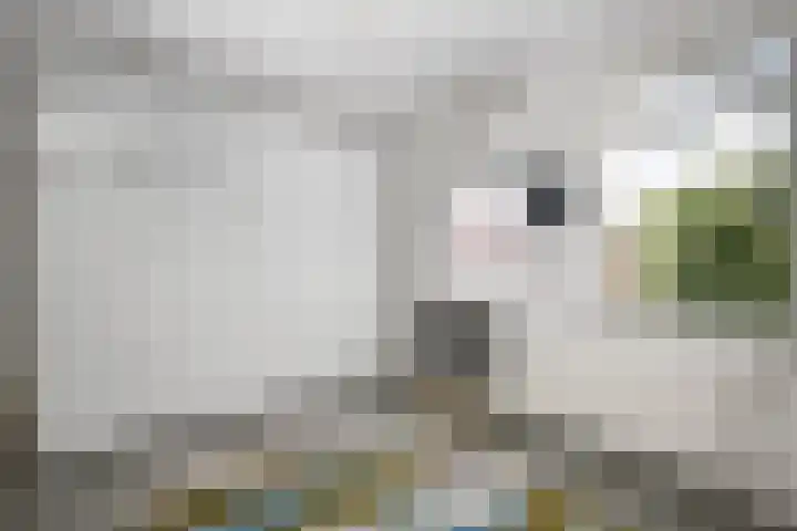Cypruslaan 142 Rotterdam thumbnail 27