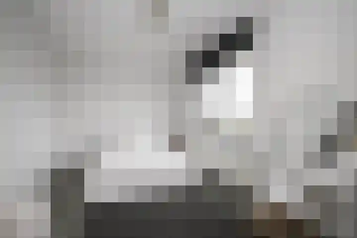 Cypruslaan 142 Rotterdam thumbnail 34