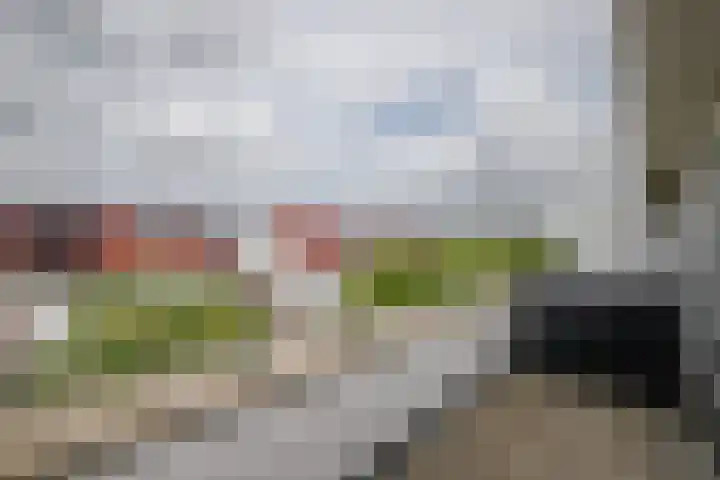 Cypruslaan 142 Rotterdam thumbnail 39