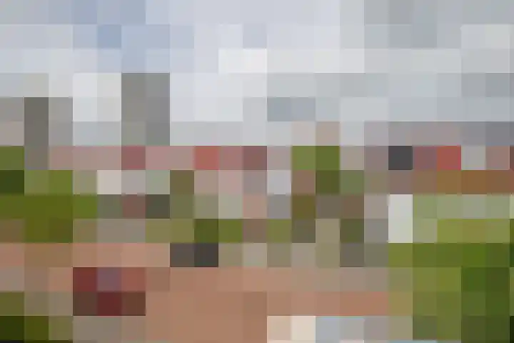Cypruslaan 142 Rotterdam thumbnail 41
