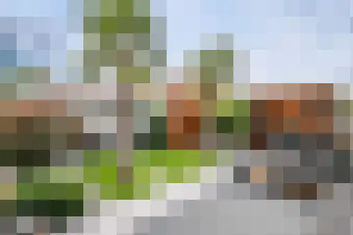 Cypruslaan 142 Rotterdam thumbnail 52