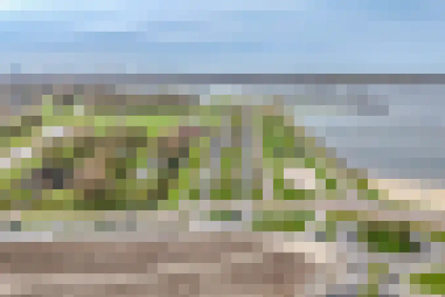 Cypruslaan 149 Rotterdam thumbnail 48