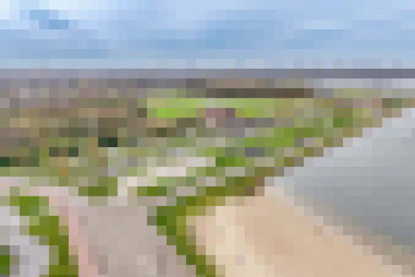 Cypruslaan 149 Rotterdam thumbnail 49