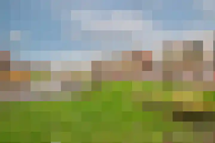 Cypruslaan 157 Rotterdam thumbnail 33