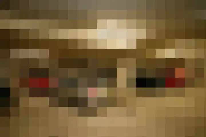 Cypruslaan 157 Rotterdam thumbnail 5